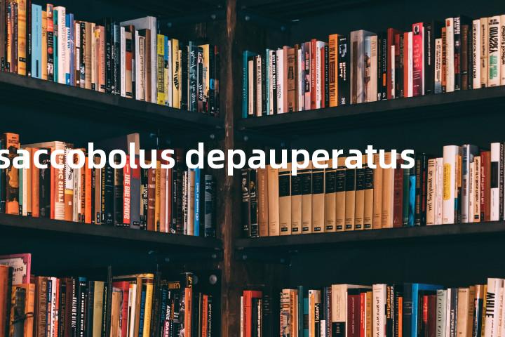 saccobolus depauperatus单词图解，单词释义场景配图