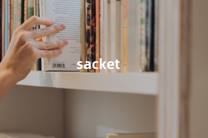 sacket单词图解，单词释义场景配图