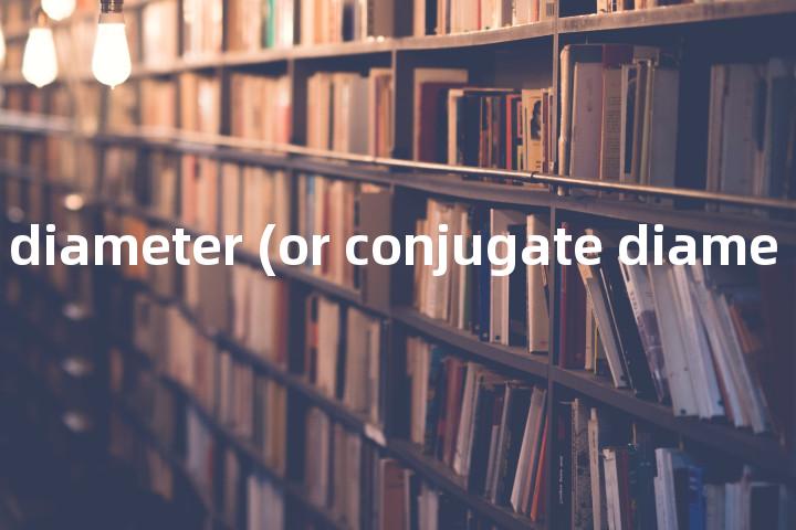 sacro-pubic diameter (or conjugate diameter)单词图解，单词释义场景配图
