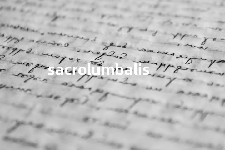 sacrolumbalis单词图解，单词释义场景配图
