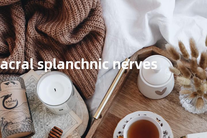 sacral splanchnic nerves单词图解，单词释义场景配图