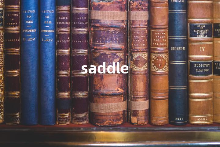 saddle