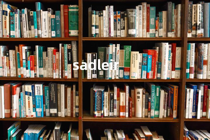 sadleir单词图解，单词释义场景配图