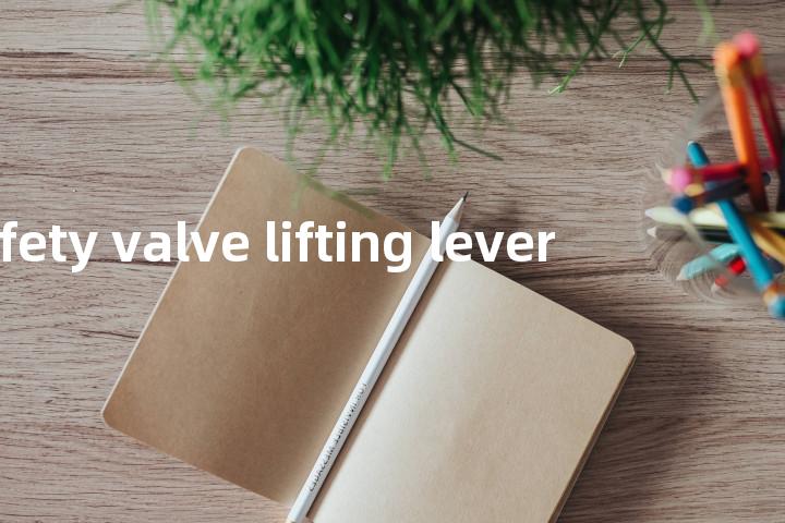 safety valve lifting lever单词图解，单词释义场景配图
