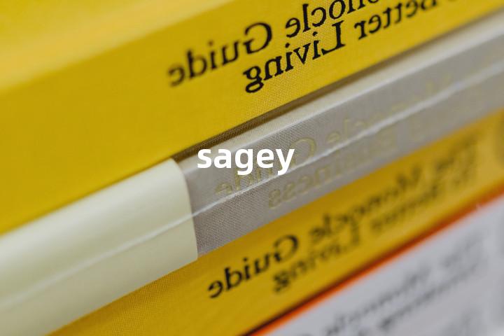 sagey单词图解，单词释义场景配图