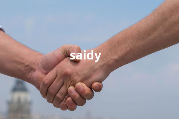 saidy单词图解，单词释义场景配图