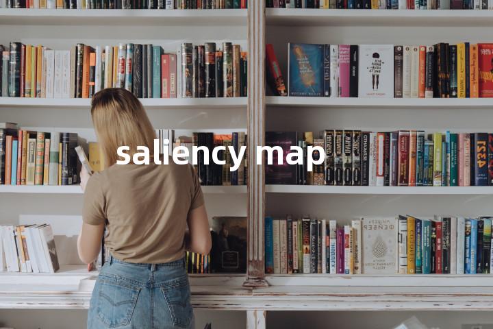 saliency map单词图解，单词释义场景配图