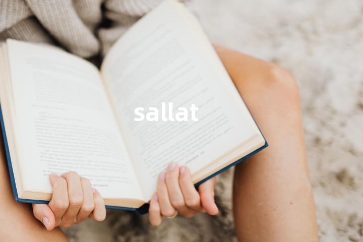 sallat单词图解，单词释义场景配图