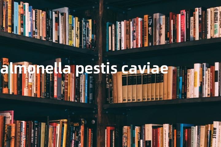 salmonella pestis caviae单词图解，单词释义场景配图