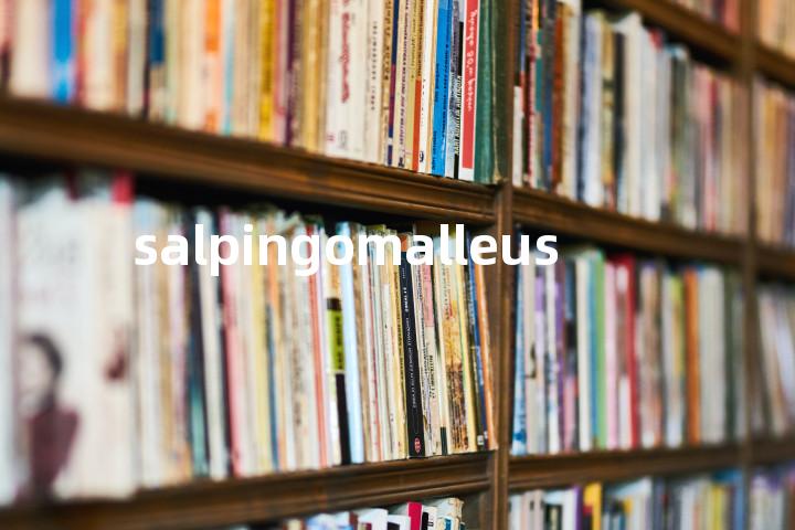 salpingomalleus单词图解，单词释义场景配图