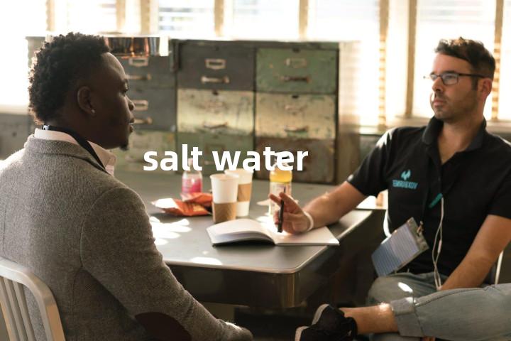 salt water单词图解，单词释义场景配图
