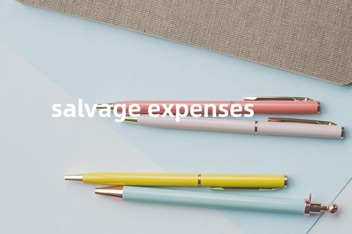 salvage expenses单词图解，单词释义场景配图