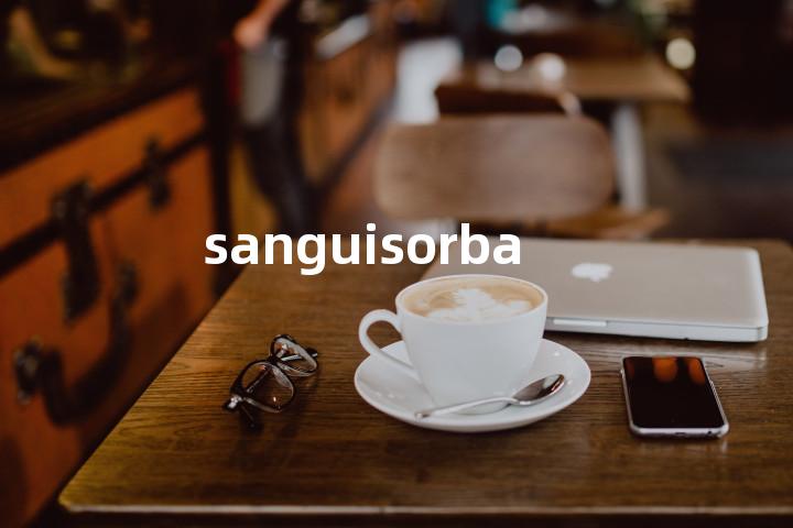 sanguisorba单词图解，单词释义场景配图