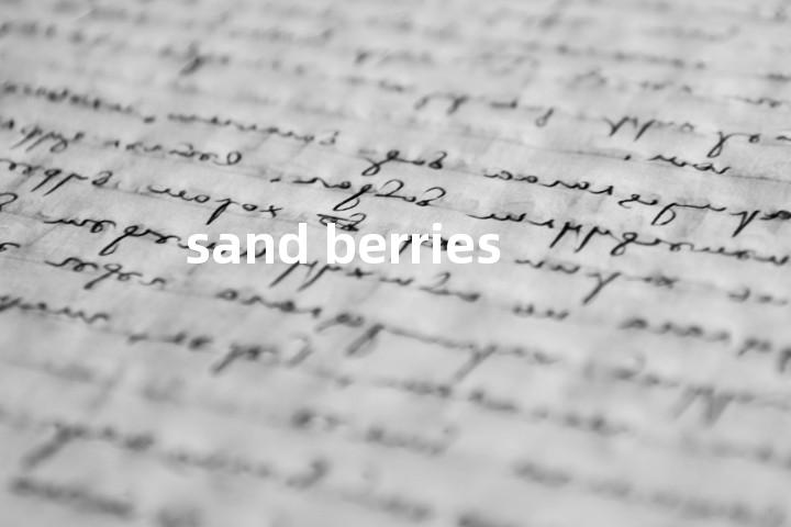 sand berries单词图解，单词释义场景配图