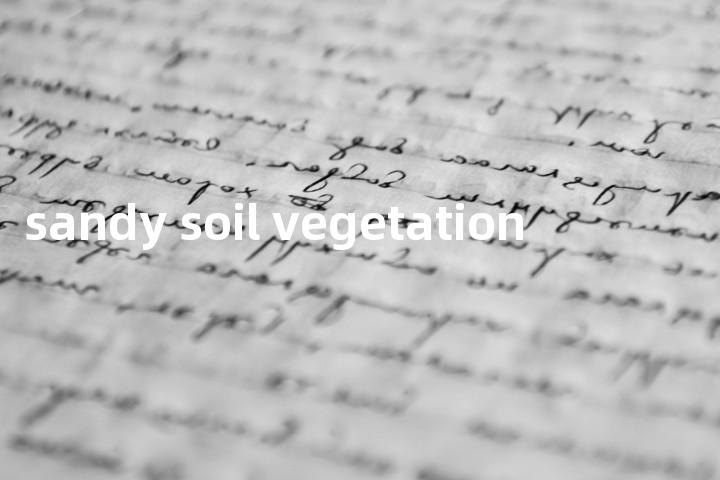 sandy soil vegetation单词图解，单词释义场景配图