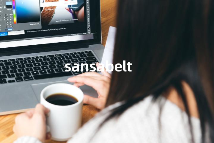 sansabelt单词图解，单词释义场景配图