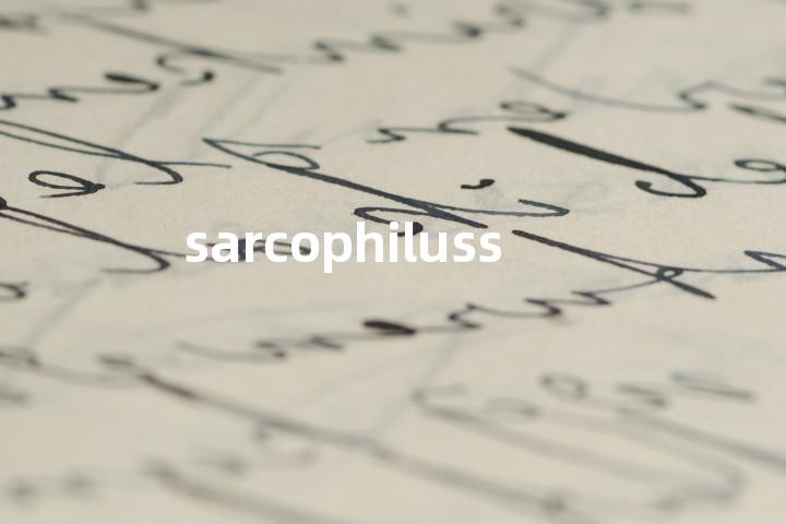 sarcophiluss单词图解，单词释义场景配图
