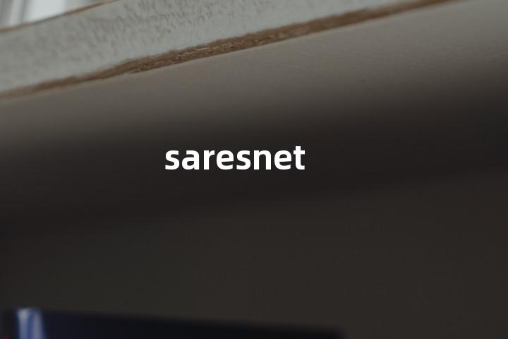saresnet单词图解，单词释义场景配图