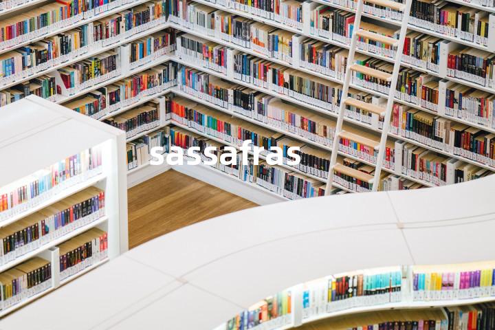 sassafras