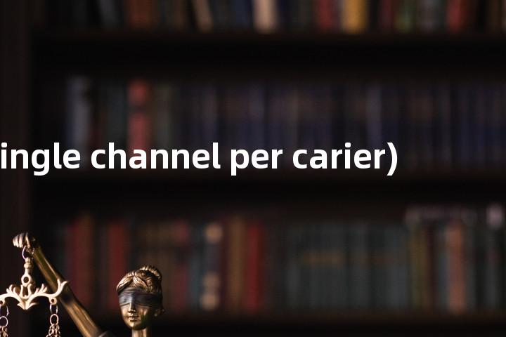 sc/c (single channel per carier)单词图解，单词释义场景配图
