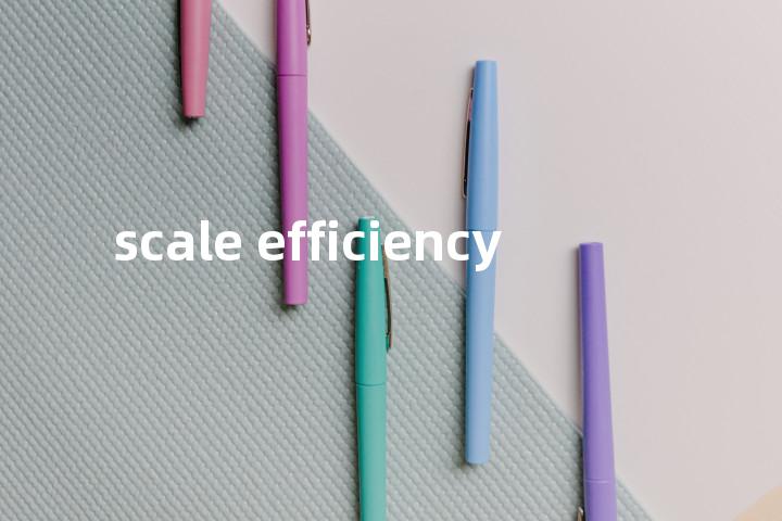scale efficiency单词图解，单词释义场景配图