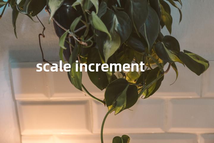 scale increment单词图解，单词释义场景配图