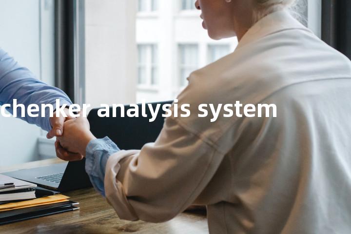 schenker analysis system单词图解，单词释义场景配图