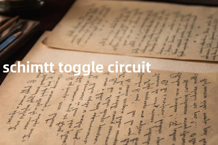 schimtt toggle circuit单词图解，单词释义场景配图