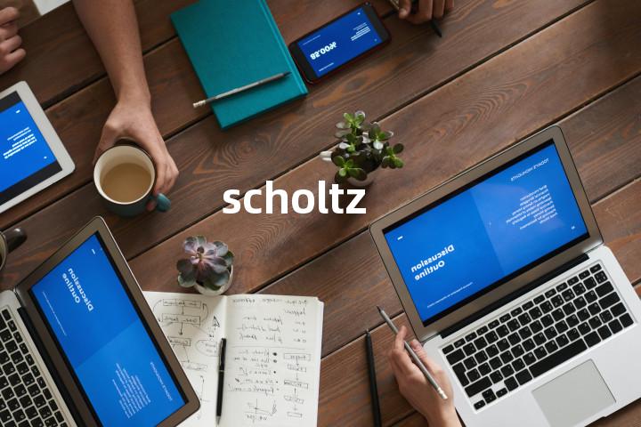 scholtz单词图解，单词释义场景配图