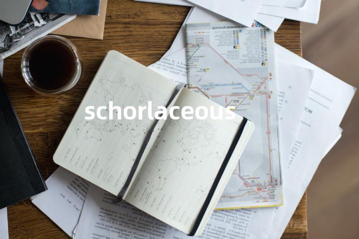 schorlaceous单词图解，单词释义场景配图