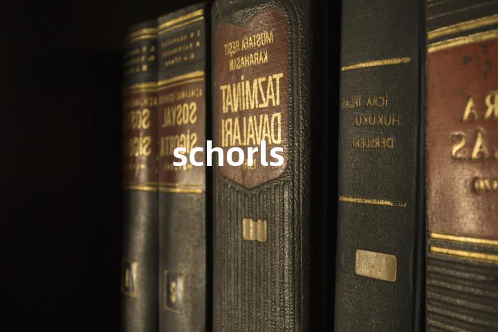 schorls单词图解，单词释义场景配图