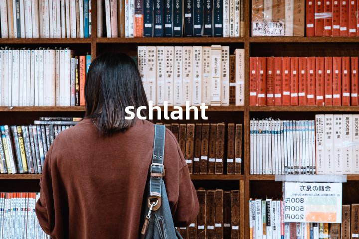 schlaht单词图解，单词释义场景配图