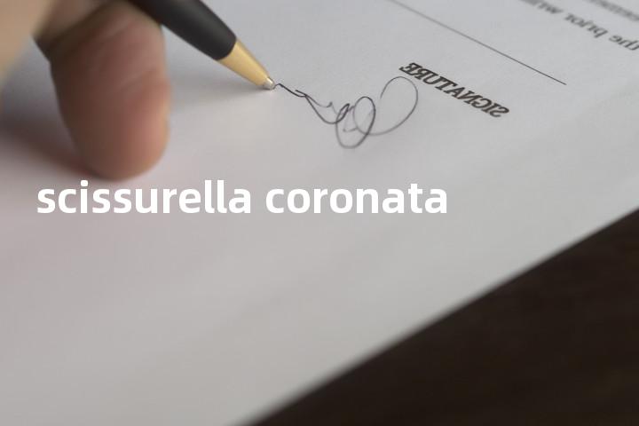 scissurella coronata单词图解，单词释义场景配图