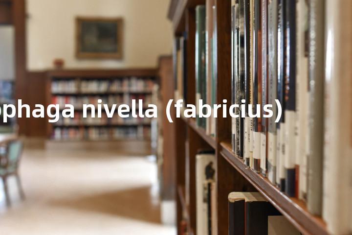 scirpophaga nivella (fabricius)单词图解，单词释义场景配图