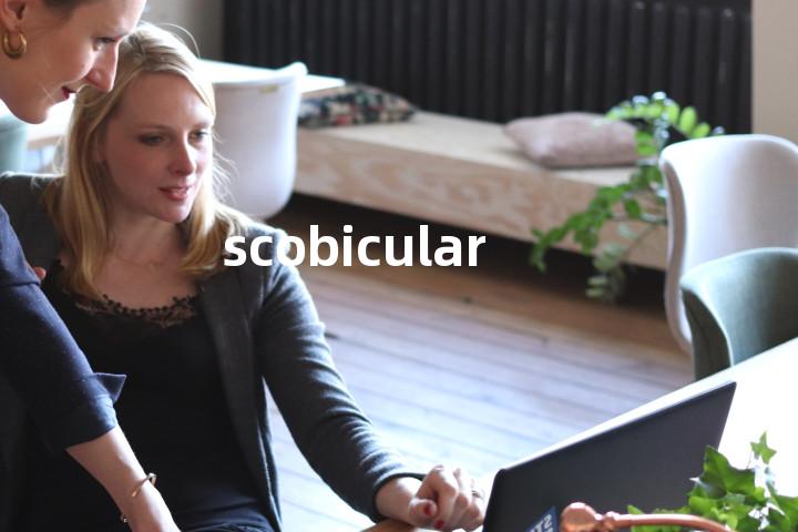 scobicular单词图解，单词释义场景配图