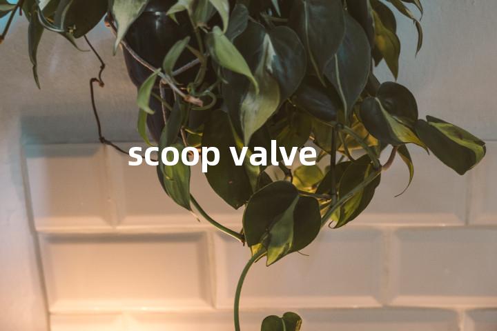 scoop valve单词图解，单词释义场景配图