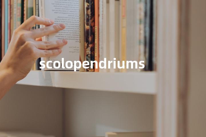 scolopendriums单词图解，单词释义场景配图