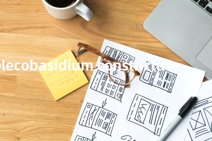 scolecobasidium constrictum单词图解，单词释义场景配图