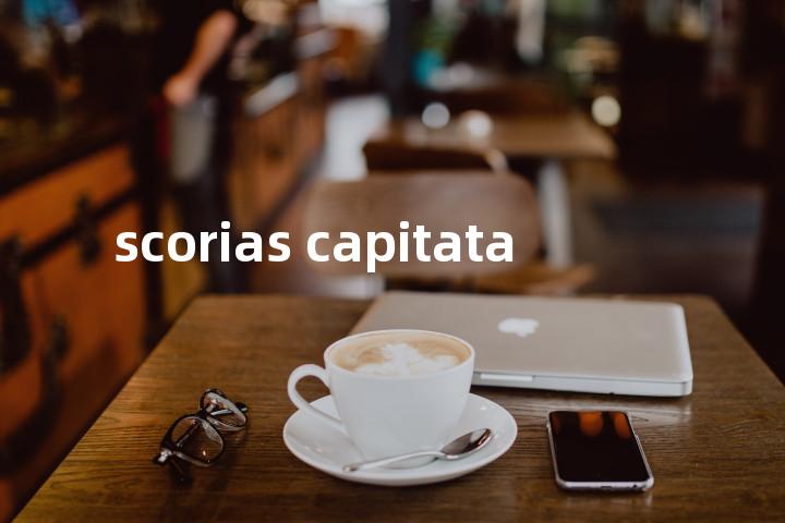 scorias capitata单词图解，单词释义场景配图