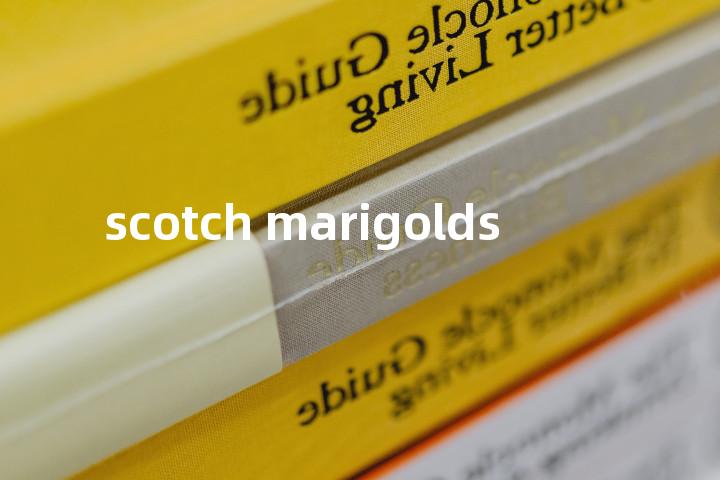 scotch marigolds单词图解，单词释义场景配图