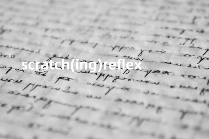 scratch(ing)reflex单词图解，单词释义场景配图