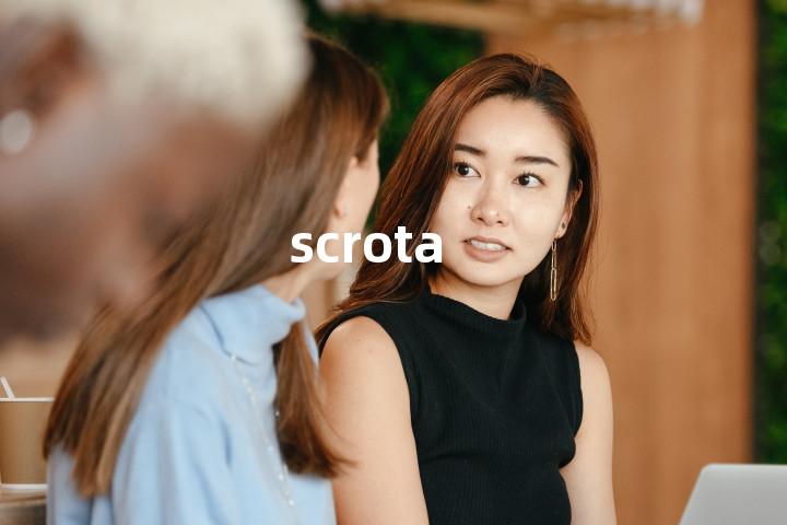 scrota单词图解，单词释义场景配图