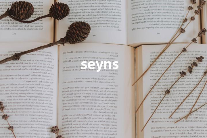 seyns单词图解，单词释义场景配图