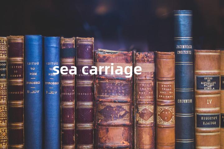 sea carriage单词图解，单词释义场景配图
