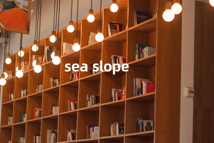 sea slope单词图解，单词释义场景配图