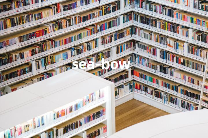 sea-bow单词图解，单词释义场景配图