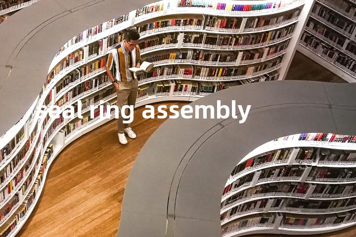 seal ring assembly单词图解，单词释义场景配图