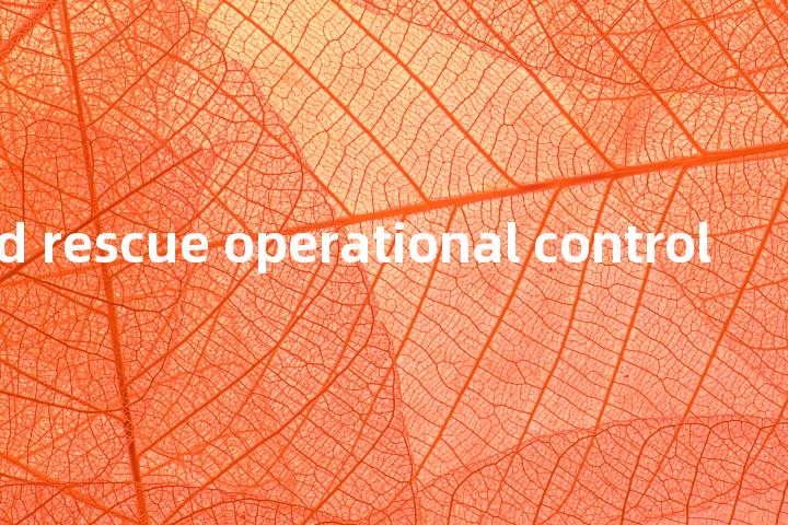 search and rescue operational control单词图解，单词释义场景配图