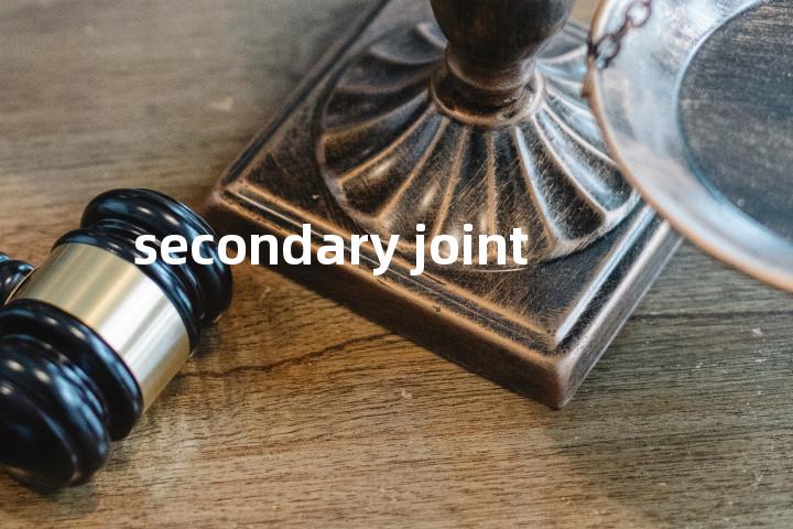secondary joint单词图解，单词释义场景配图