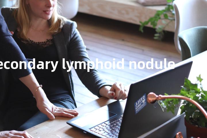 secondary lymphoid nodule单词图解，单词释义场景配图